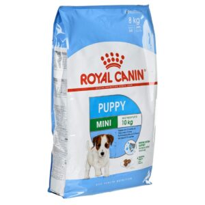 Nourriture Royal Canin Mini Puppy Petit/Junior Poulet Riz Oiseaux 8 kg